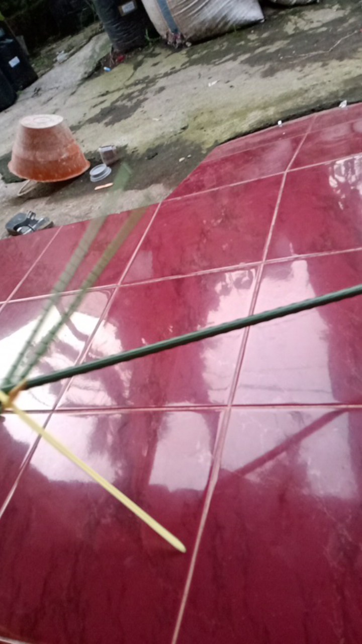 Plant Stake 11 X  90 Cm