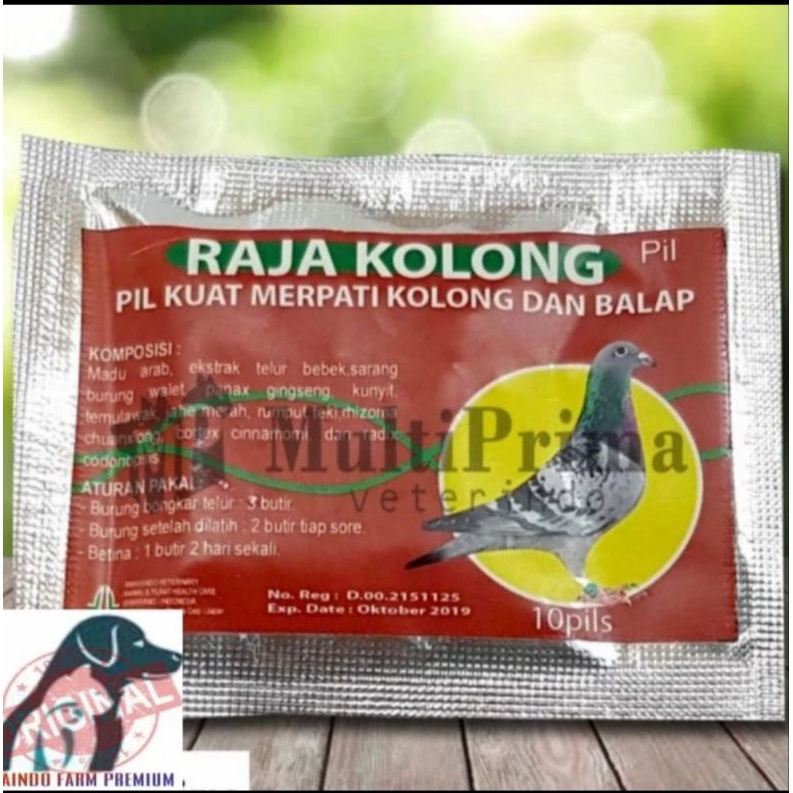 JAMU RAJA KOLONG DOPING BURUNG MERPATI DARA KOLONG TINGGI PIL RAJA KOLONG