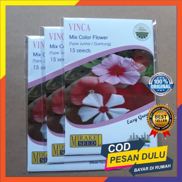 Benih Vinca juntai Tapak Dara Gantung Warna Campur Mirakel Seed isi 15biji Bisa COD Bayar Di Tempat