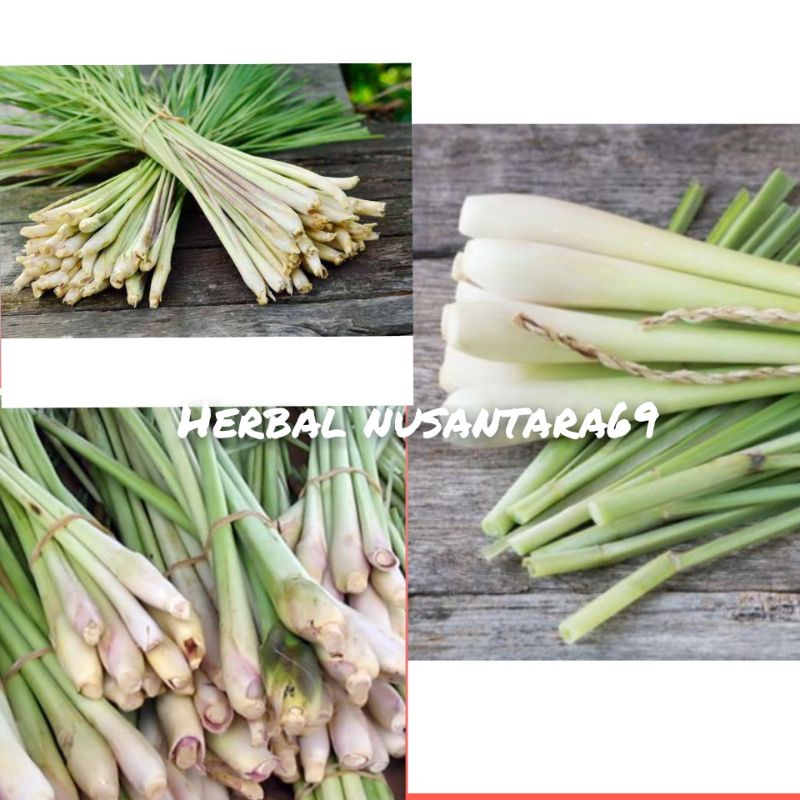 

Promo Serai Bumbu-Serai Hijau Segar