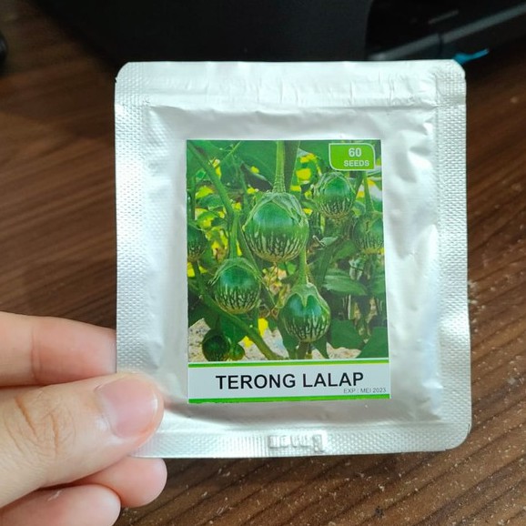 benih sayur - benih buah - benih sayuran - benih tomat - benih cabe - benih selada - benih bayam - benih terong - benih pakchoy -RS-terong lalap