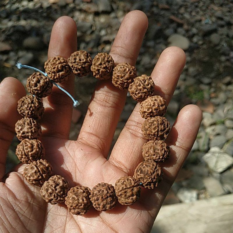 gelang biji genitri asli