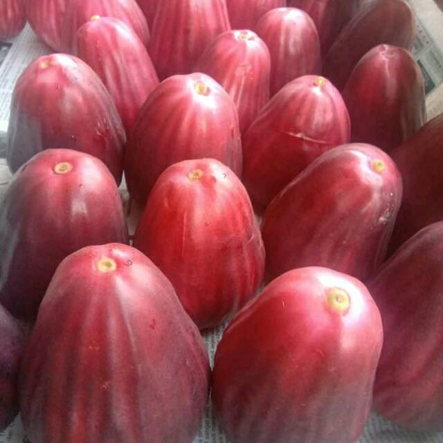 

jambu jamaica
