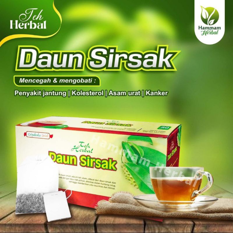 

Teh Celup Herbal Daun Sirsak Anti Kanker Hipertensi