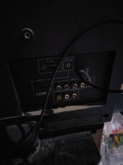 Payung Terbalik Kazbrella Gagang C 2nd Generatio Motif Binatang F715