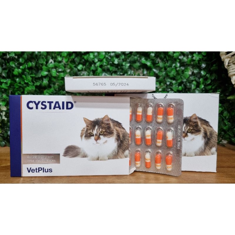 CYSTAID PLUS / CYSTAID CAT(HARGA PER 1 CAPSUL)