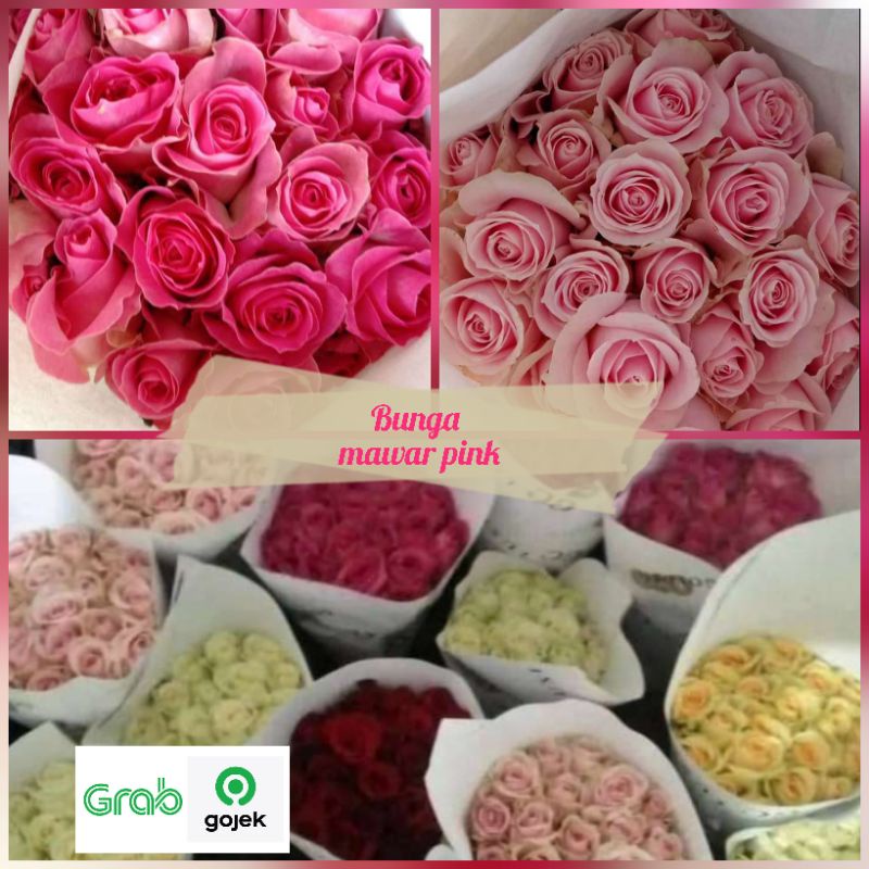 bunga mawar pink 20 batang pink rose bunga potong segar