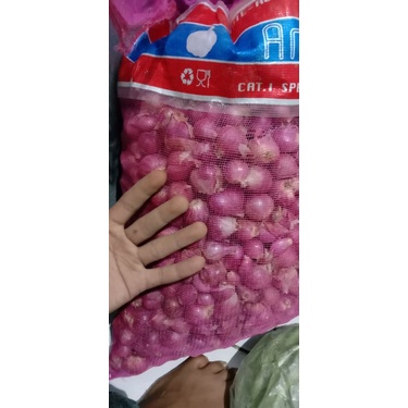 

bawang merah besar