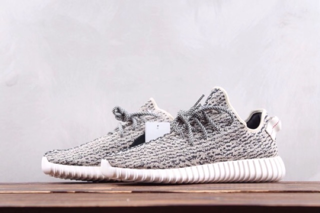 turtle dove v1