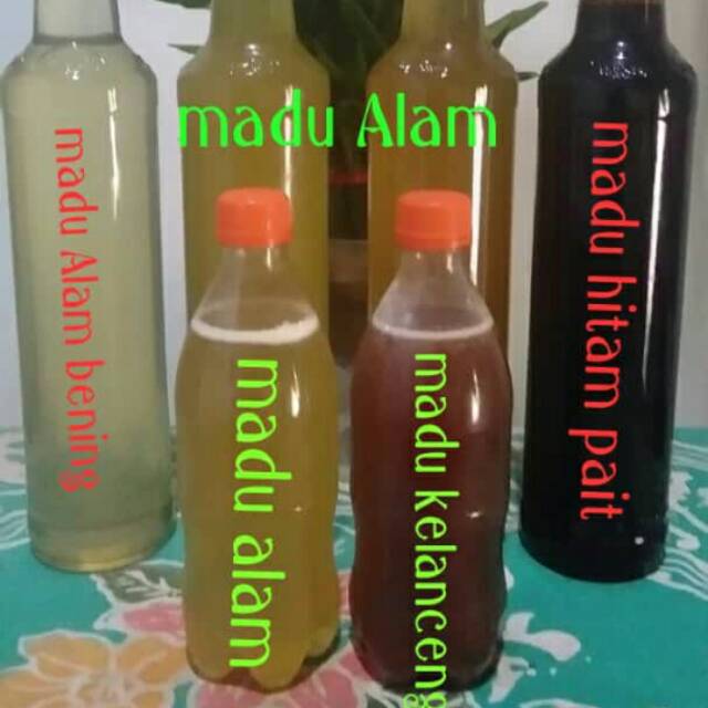 

Madu Asli panen sendiri