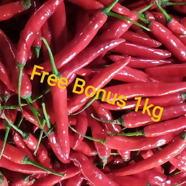 

Cabe Merah Besar 500gr + Gratis Bonus