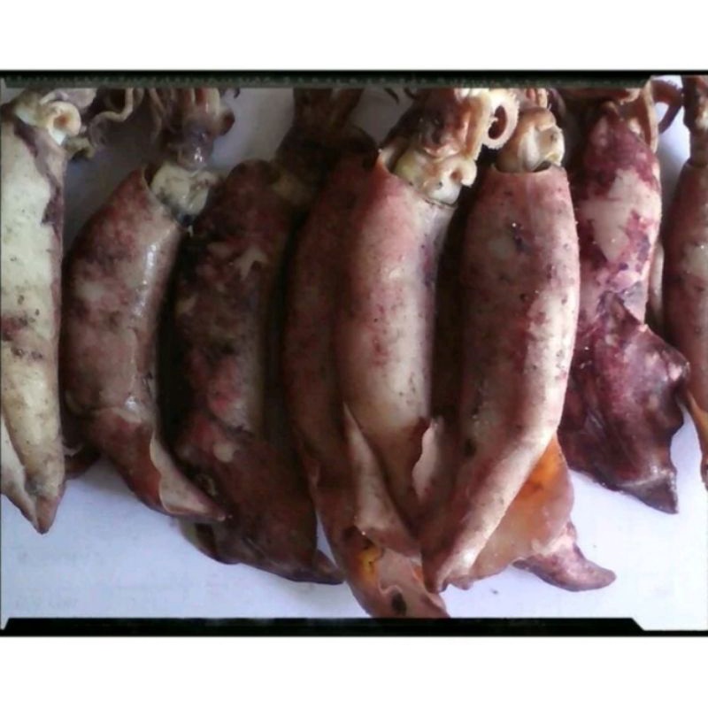 CUMI ASIN SUPER FULL TELUR BERAT 250GR