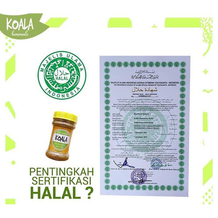 

Terlaris Kaldu Bayi Koala Rasa Ayam Terheboh