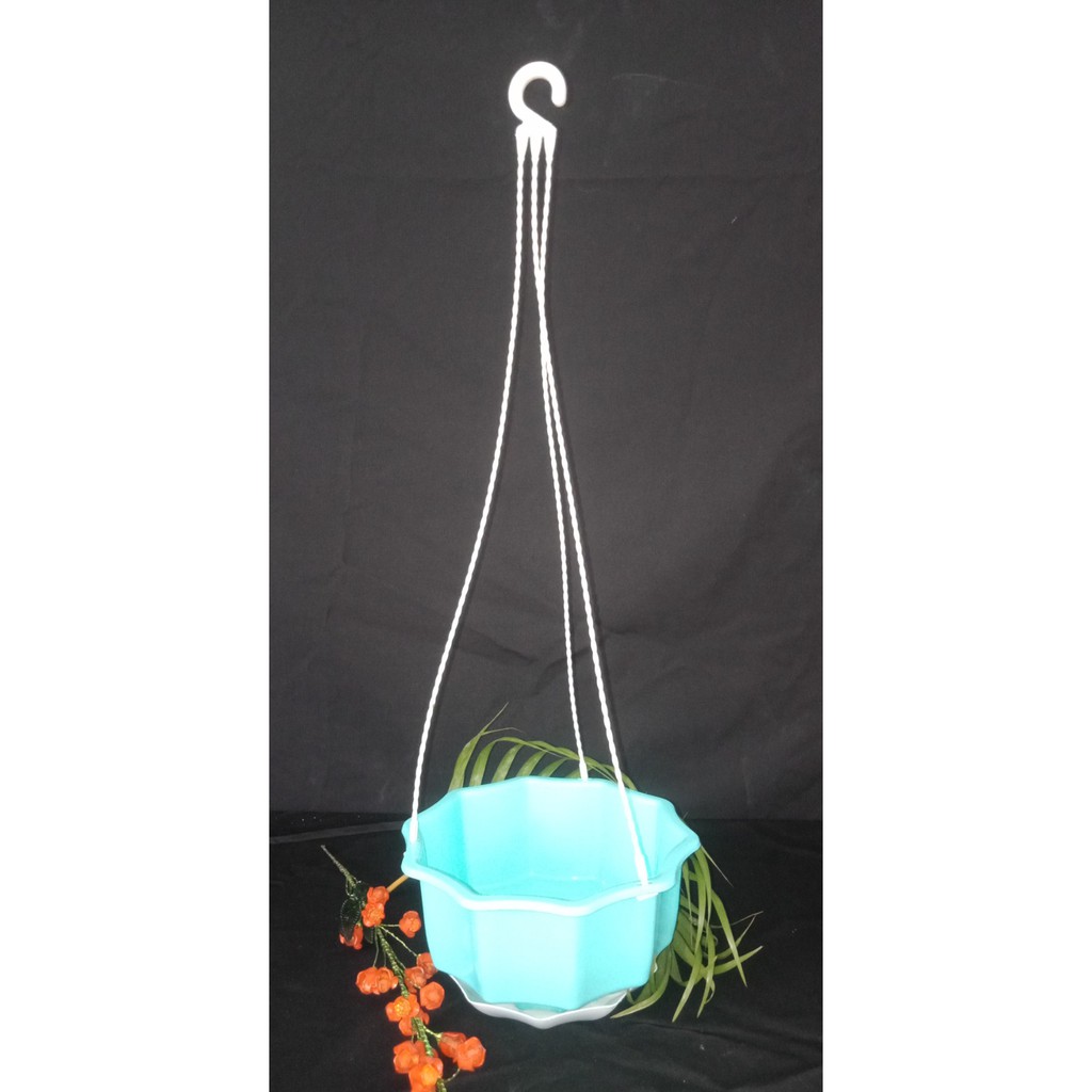 Pot plastik gantung enoki