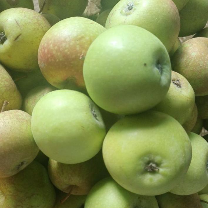 Diamond Promo✔️ buah Apel Termurah manalagi/apel malang fress 1kg (15-22buah) #TREND