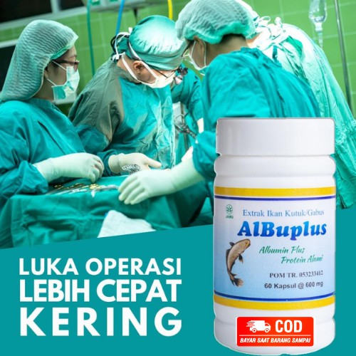 ALBUPLUS KAPSUL ALBUMIN EKSTRAK IKAN KUTUK GABUS ISI 60 KAPSUL ORIGINAL KHASIAT AMPUH