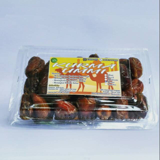 

KURMA UMMI BESAR