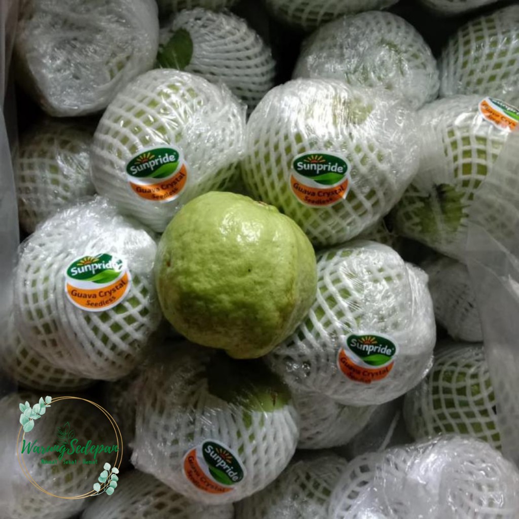 

Jambu Kristal Sunpride 1 kg Jambu Crystal Sunpride Guava Crystal Sunpride Buah Super Jamkris Buah Lokal Premium Buah Segar Cikarang