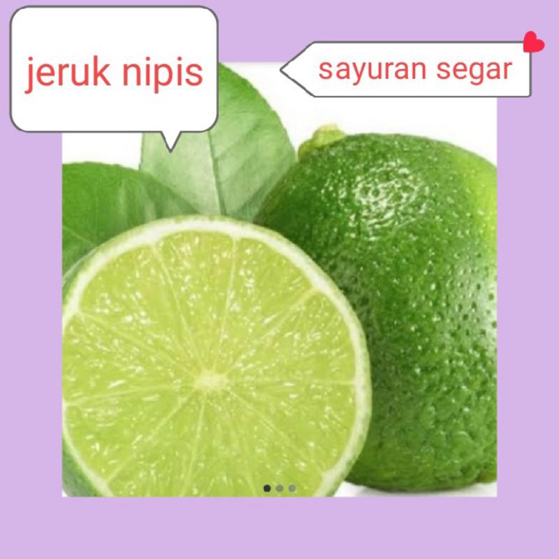 

JERUK NIPIS