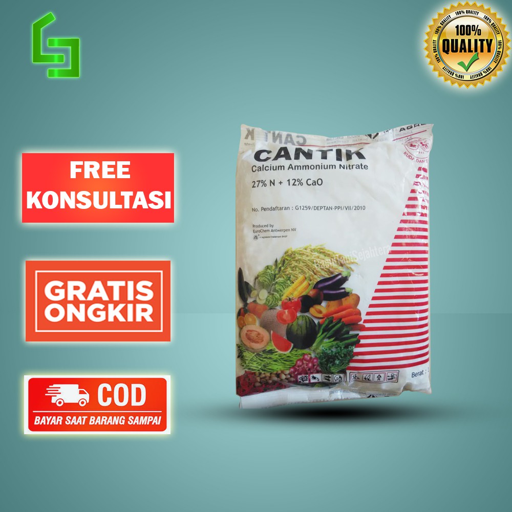 DAP CANTIK PUPUK PERTUMBUHAN PEMBUNGAAN DA PEMBUAHAN