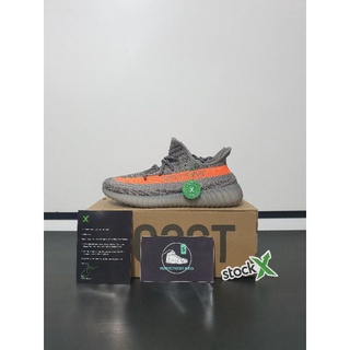 beluga stockx