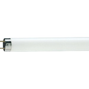 PHILIPS TL-D 10W / 54-765 - Lampu TL Neon 330mm