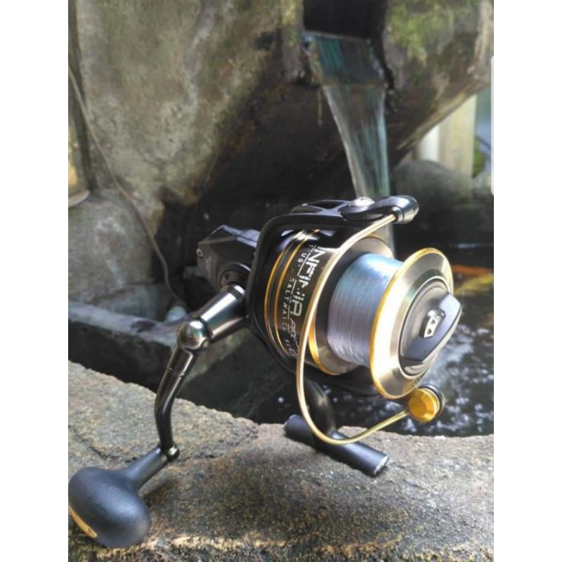 reel pioneer infinia 8000b
