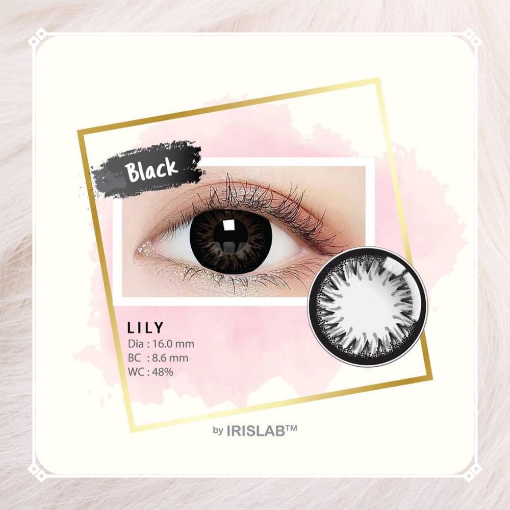 SOFTLENS LILY NORMAL BY IRIS LAB