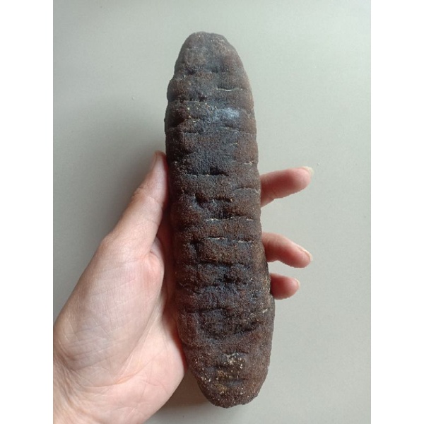 

TERIPANG DAGING (205g)