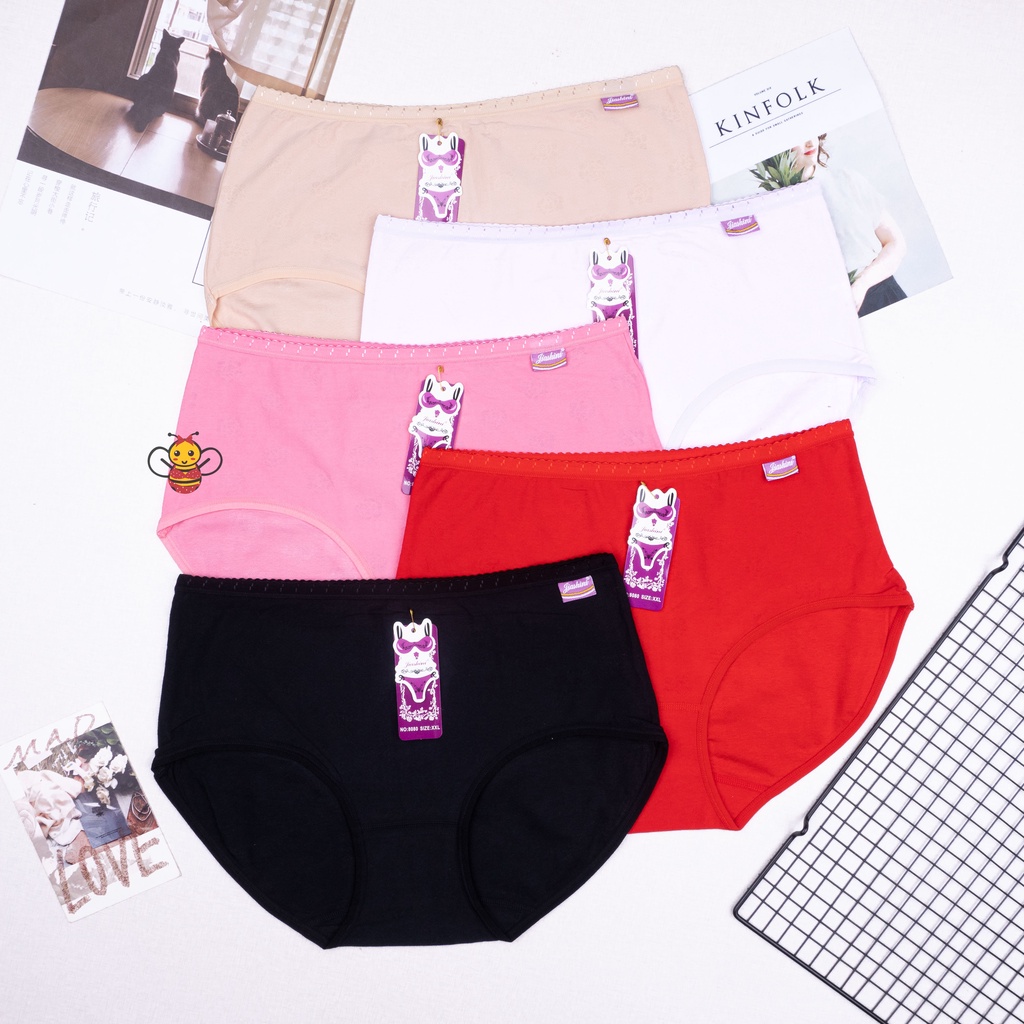 BBEE - Celana Dalam Import Murah Wanita Undies Cwe Jiashini 8080