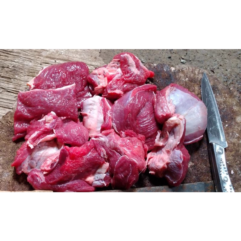 

daging kambing muda
