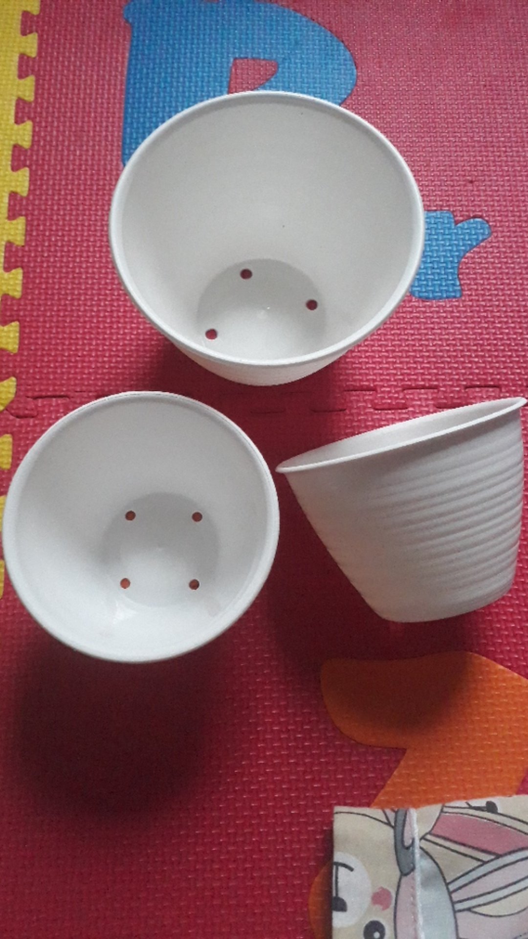 Pot Bunga Tawon Putih 10cm