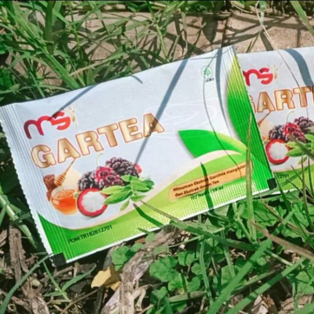 GARTEA MSI ORIGINAL MEMBER