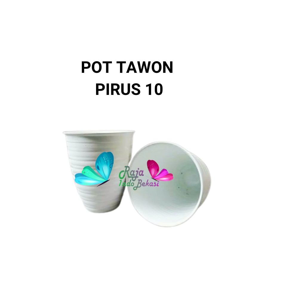 Pot Pirus Madu 10 Cm Putih Motif Pot Tawon Putih Tirus Grosir Pot Tinggi Putih Tanaman Lidah Mertua