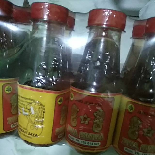 Jual Kemasan Baru Pegellinu Ml Jamu Jawa Asli Dua Singa Shopee Indonesia