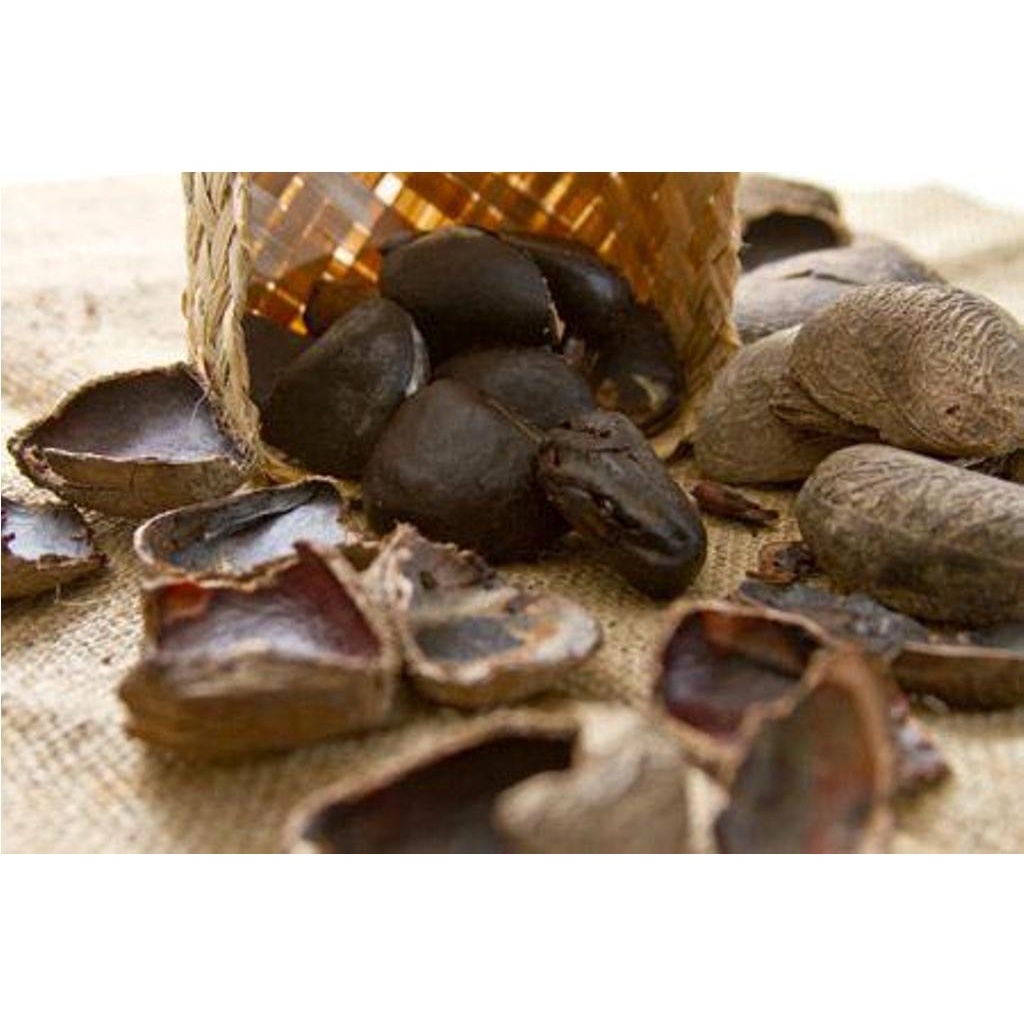 

Grosir 100 gram Kluwek Keluwek Kluwak Pucung Rawon Murah