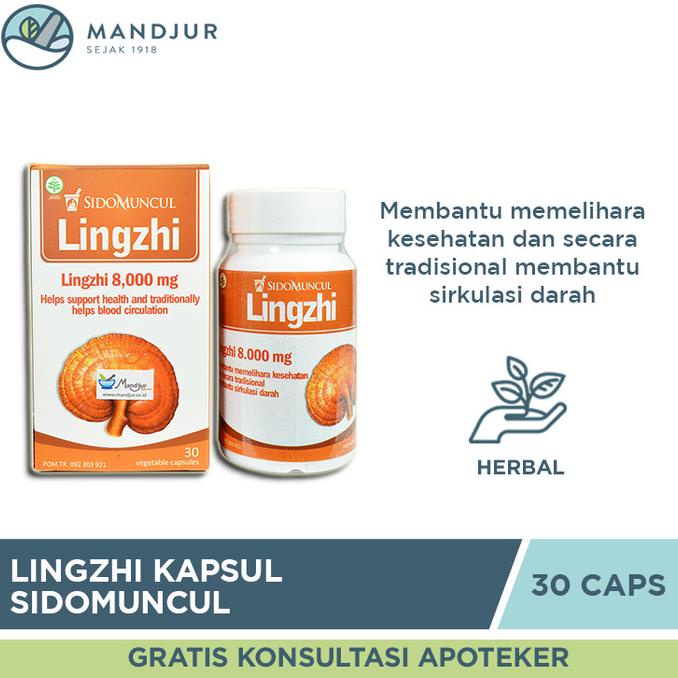 

Discount Lingzhi Kapsul Sidomuncul - Obat Herbal Kanker / Tumor /OBAT HERBAL ASAM URAT/OBAT HERBAL PELANGSING/OBAT HERBAL KOLESTEROL/OBAT HERBAL DIABETES