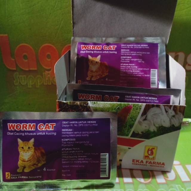 worm cat obat cacing kucing 4kapsul