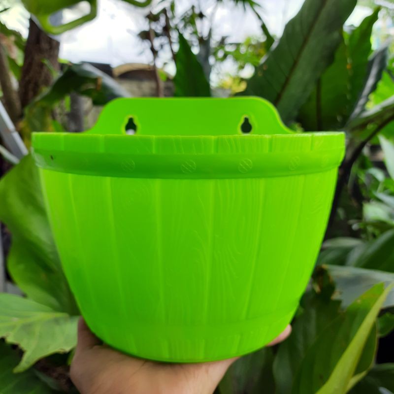 Pot Tempel Dinding Lovenia Gentong 27 Hijau / Pot Bunga