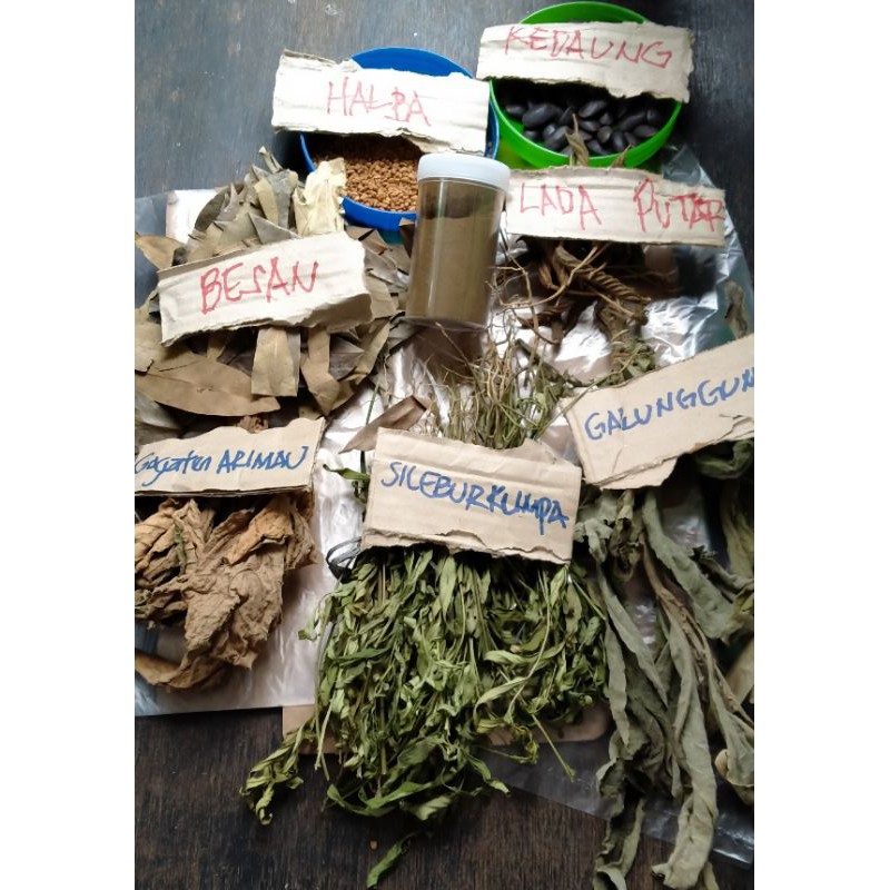 

Obat herbal"MAAG dan ASAM LAMBUNG AKUT