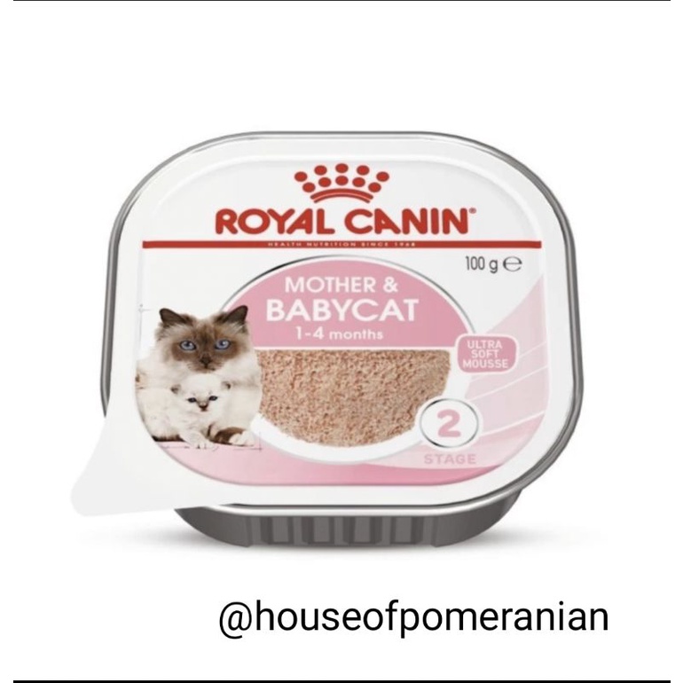 ROYAL CANIN MOTHER &amp; BABYCAT MOUSSE 100GR wet food cat makanan kucing basah