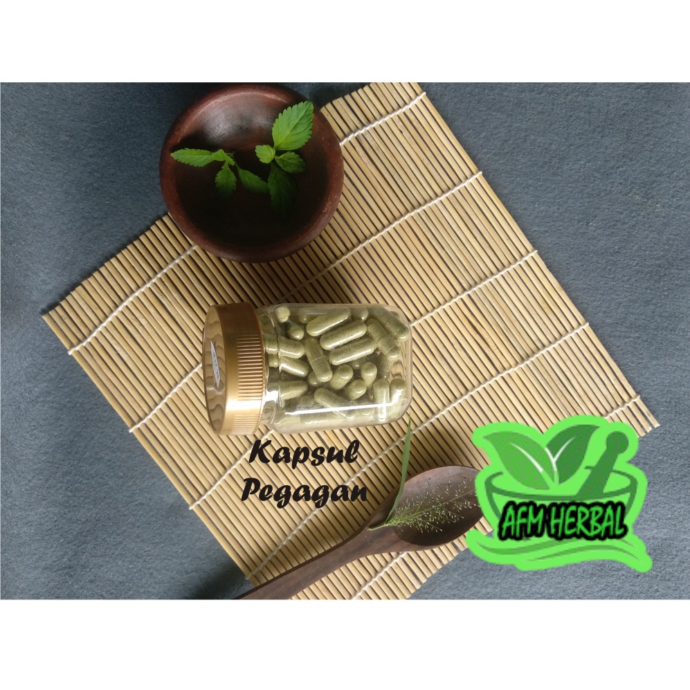 

Kapsul Pegagan Murah isi 100 pcs