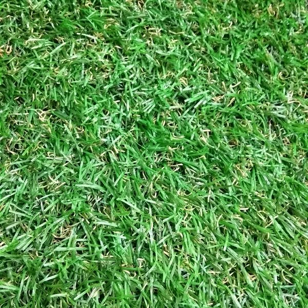 Rumput Sintetis Jepang