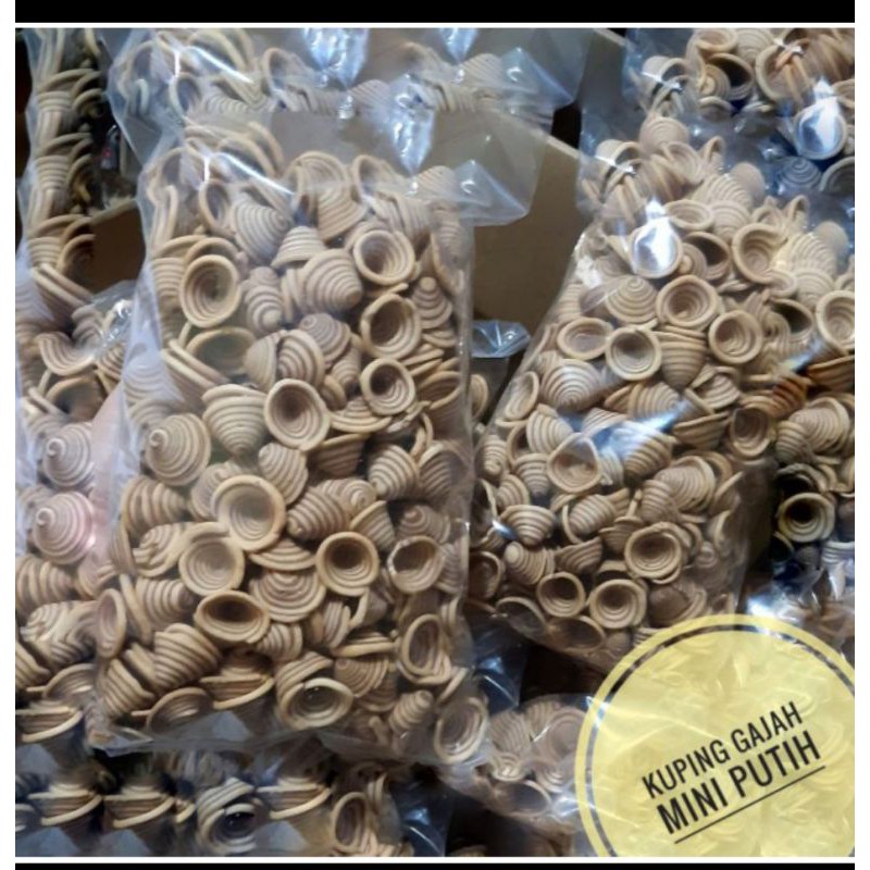 

kuping gajah mini 500gr
