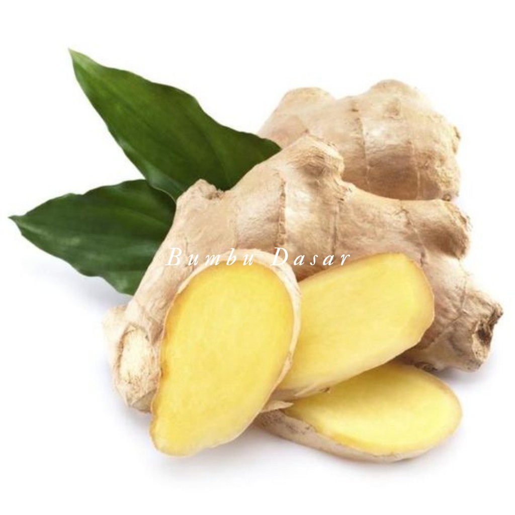 

Bumbu Dasar - Jahe Gajah Segar 100 Gr