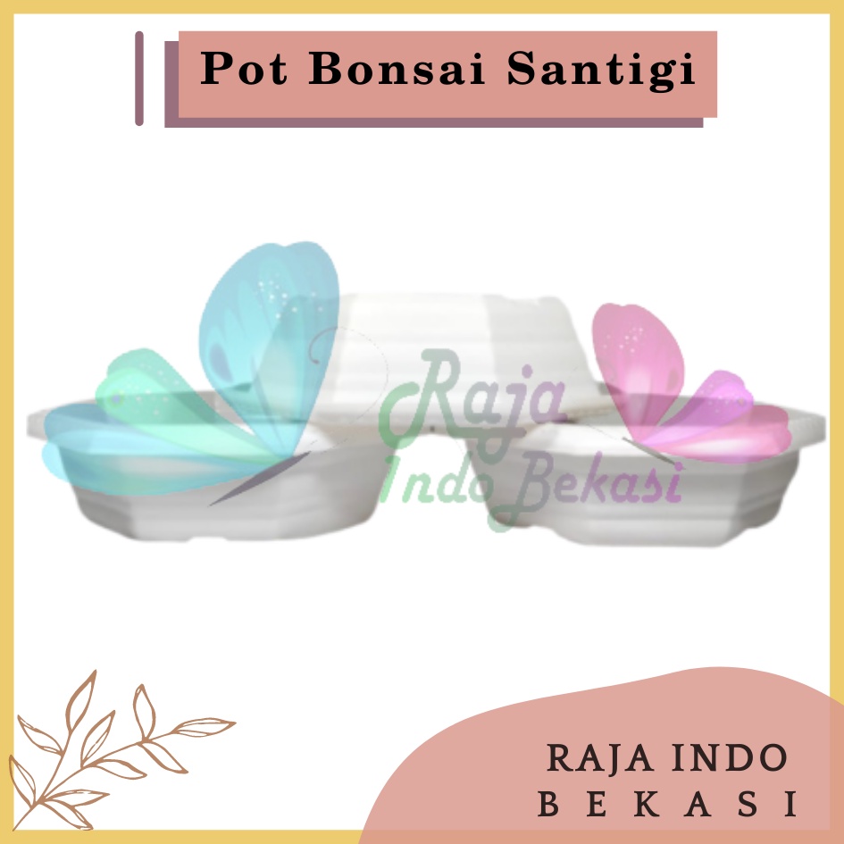 Pot Bonsai Santigi 30 Putih Bonsai Segi 8 By Garden Of Love Pot Bonsai Plastik Kotak Ceper Kelapa