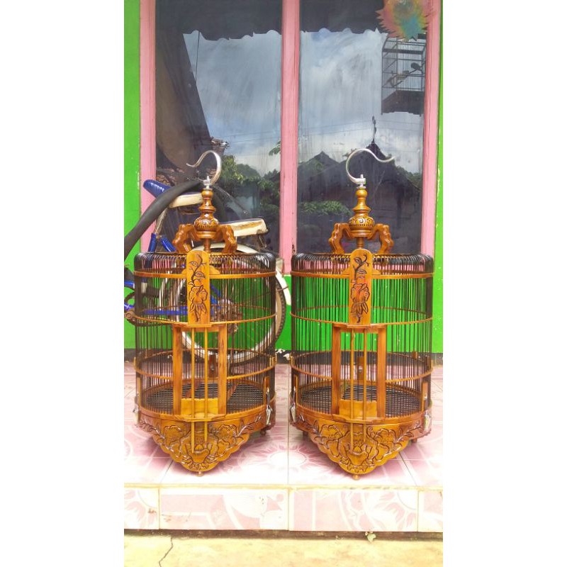 sangkar anis wambie dll