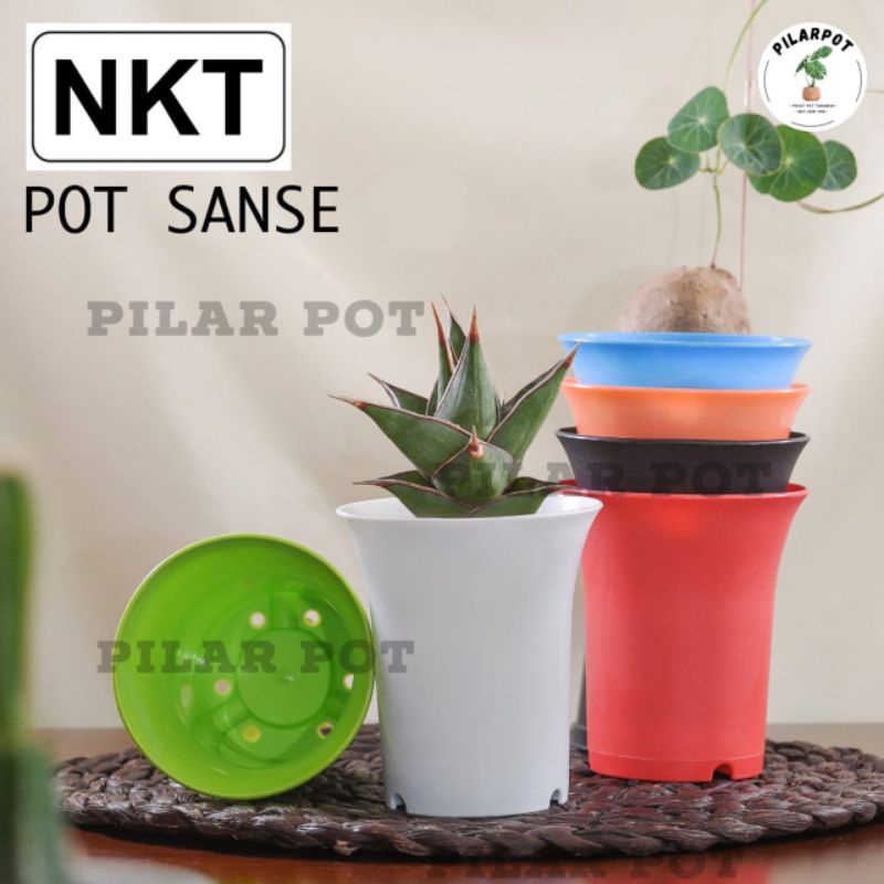 pot bunga tanaman mini nkt sanse 05 warna warni 5cm - NKT MINI SANSE 5