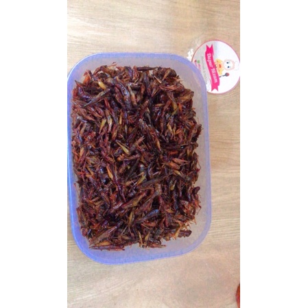 

belalang goreng 250g