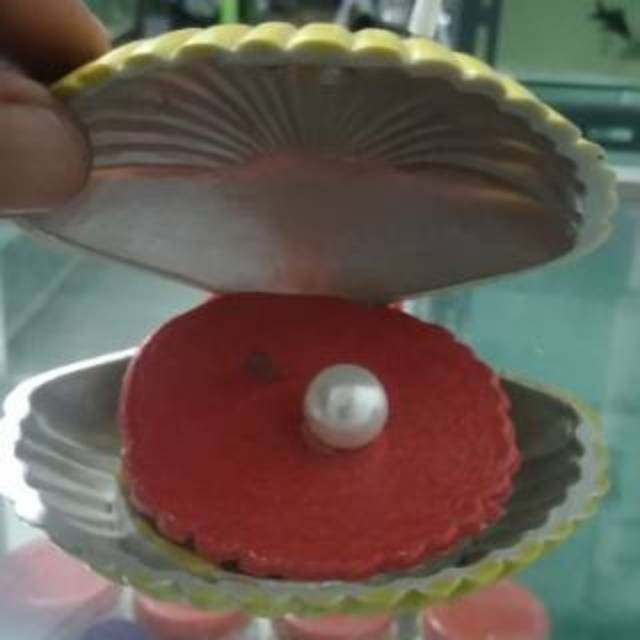 Hiasan aquarium aquascape kerang mutiara